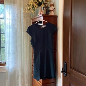 ARITZIA dress